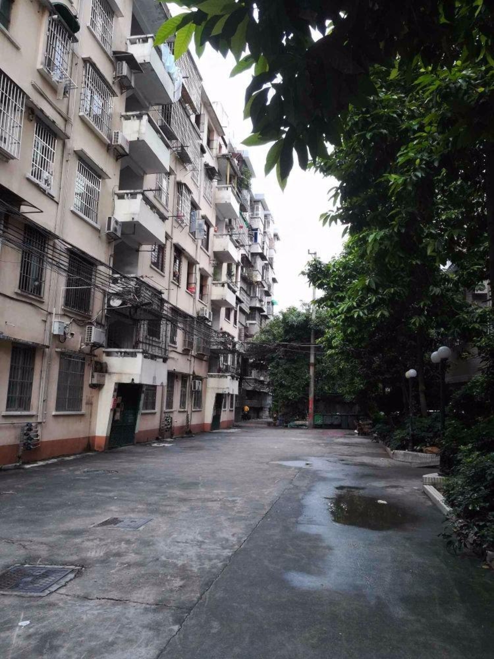 广州东环路3号大院二手房房源图片