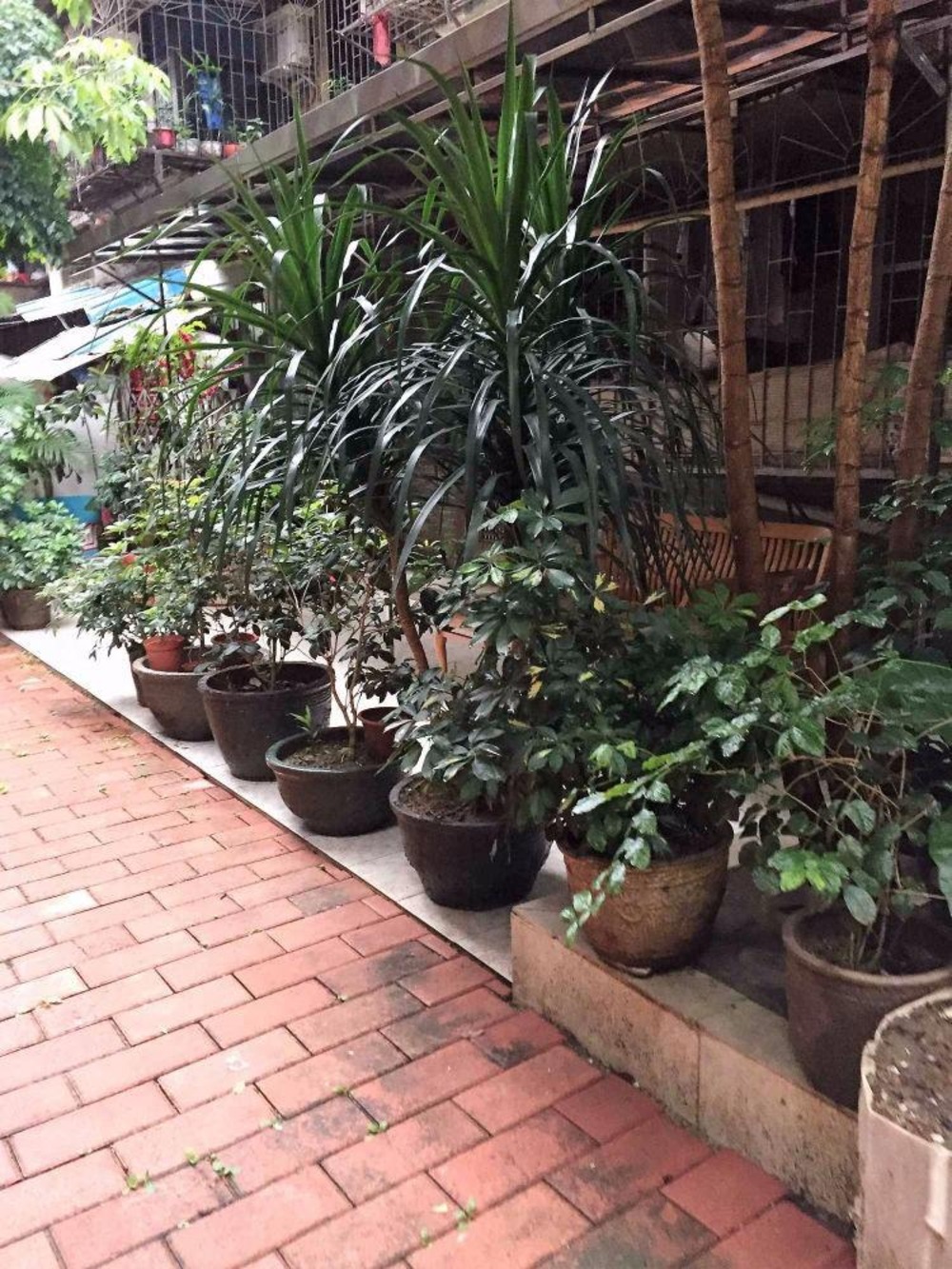 广州郭墩街小区二手房房源图片