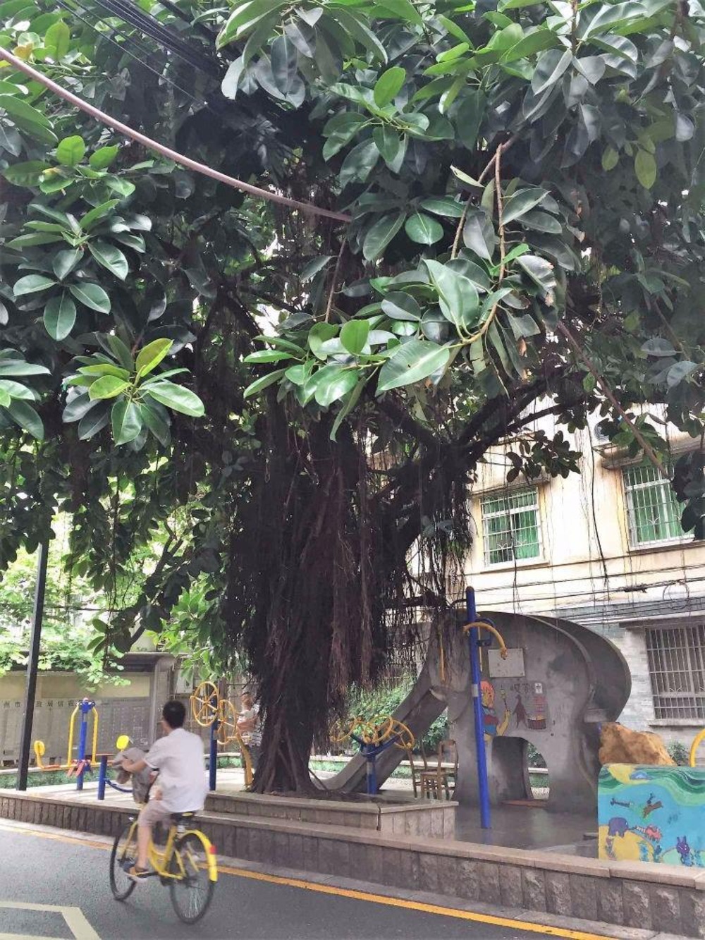 广州郭墩街小区二手房房源图片