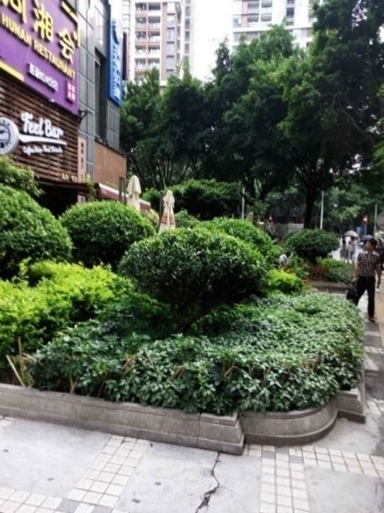 广州鸿翔大厦二手房房源图片