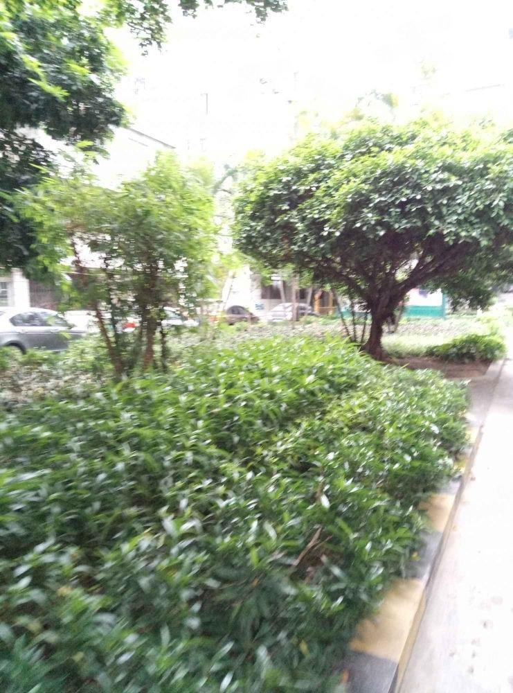 广州聚侨苑二手房房源图片