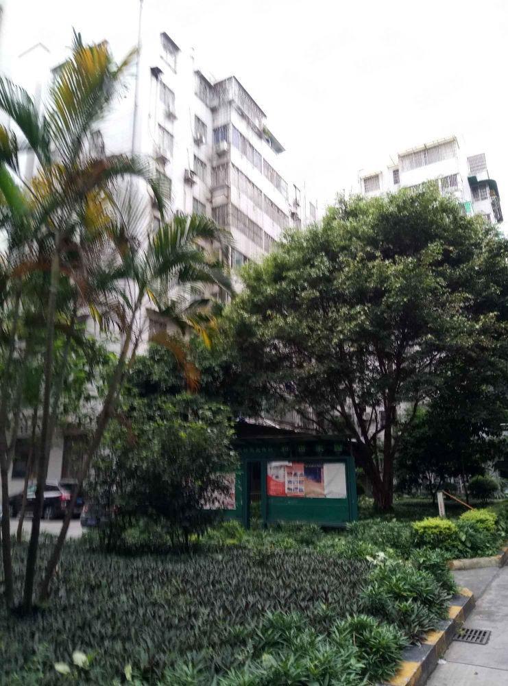 广州聚侨苑二手房房源图片