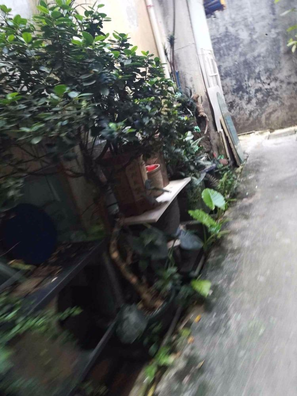 广州福今东路大院二手房房源图片