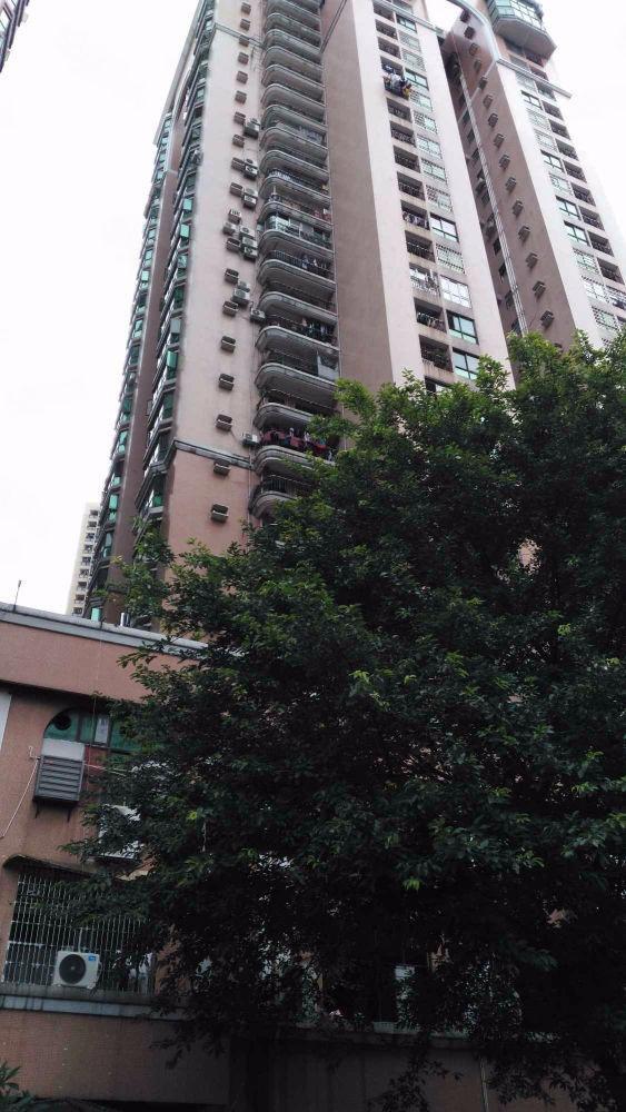 广州金迪大厦二手房房源图片