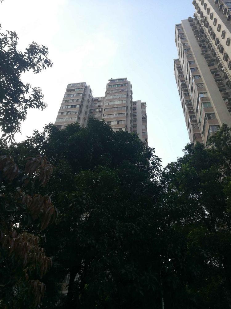 广州天荣小区二手房房源图片