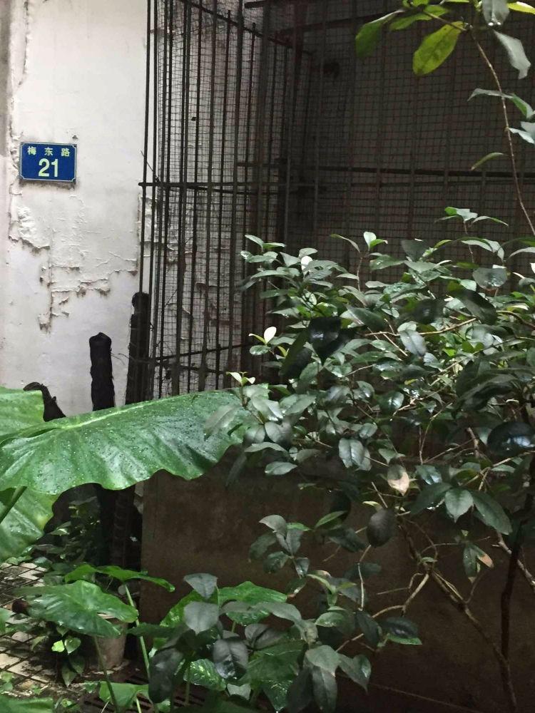 广州梅东小区二手房房源图片