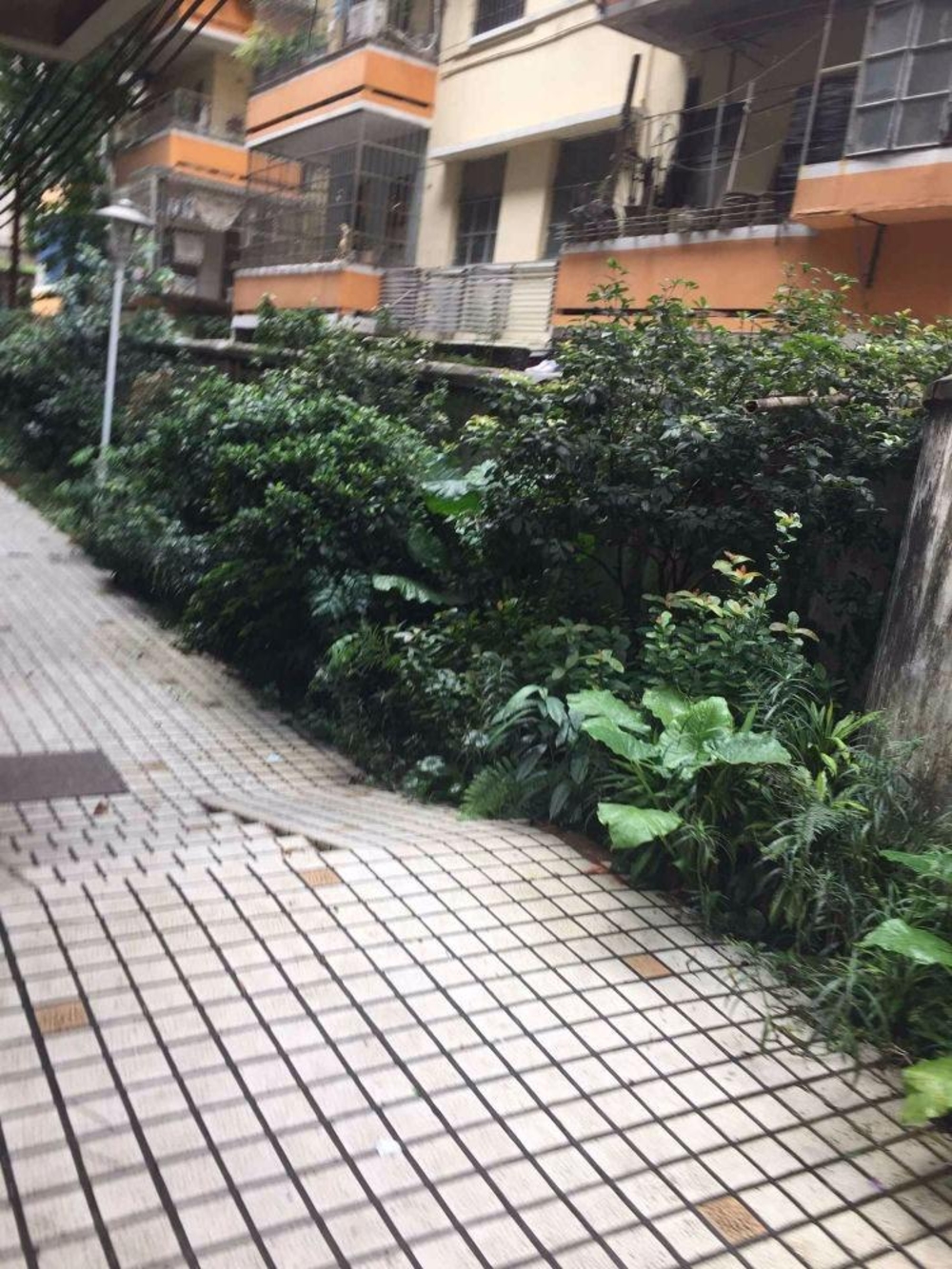 广州梅东小区二手房房源图片