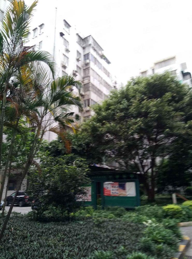 广州聚侨苑二手房房源图片