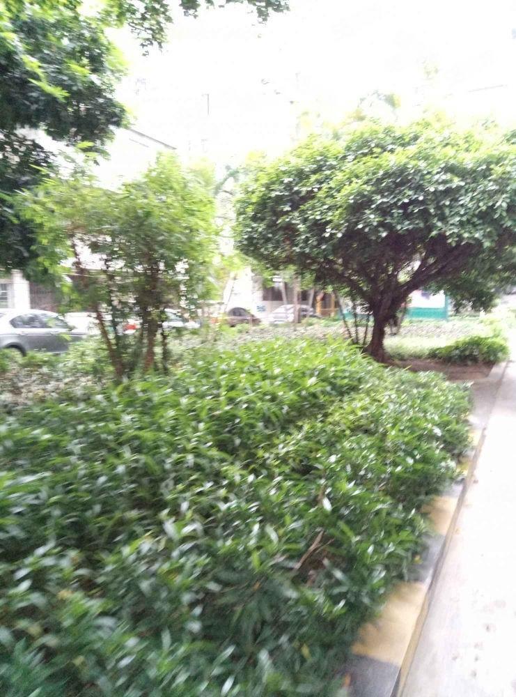 广州聚侨苑二手房房源图片