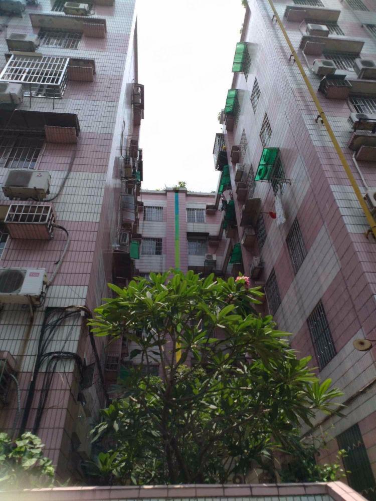 广州远锋大厦二手房房源图片