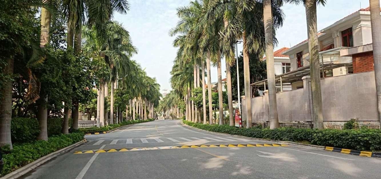 广州碧桂园凤凰城凤鸣苑二手房房源图片