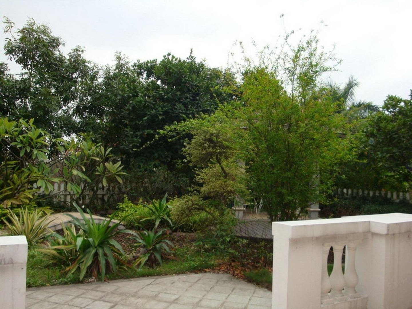 广州碧桂园凤凰城凤翔苑二手房房源图片