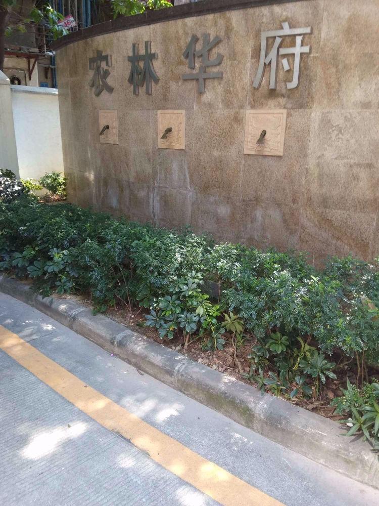 广州海景农林华府二手房房源图片