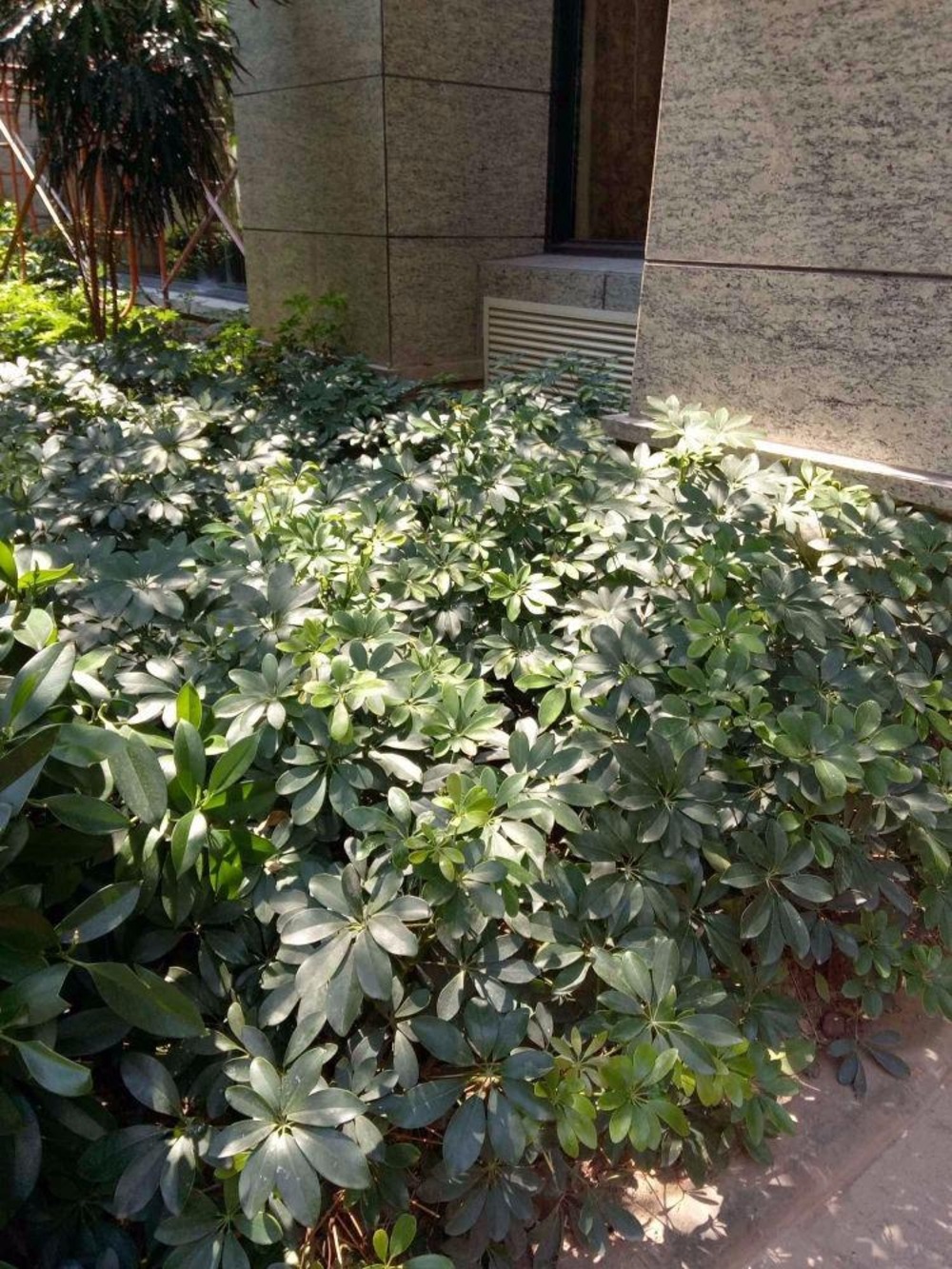 广州海景农林华府二手房房源图片