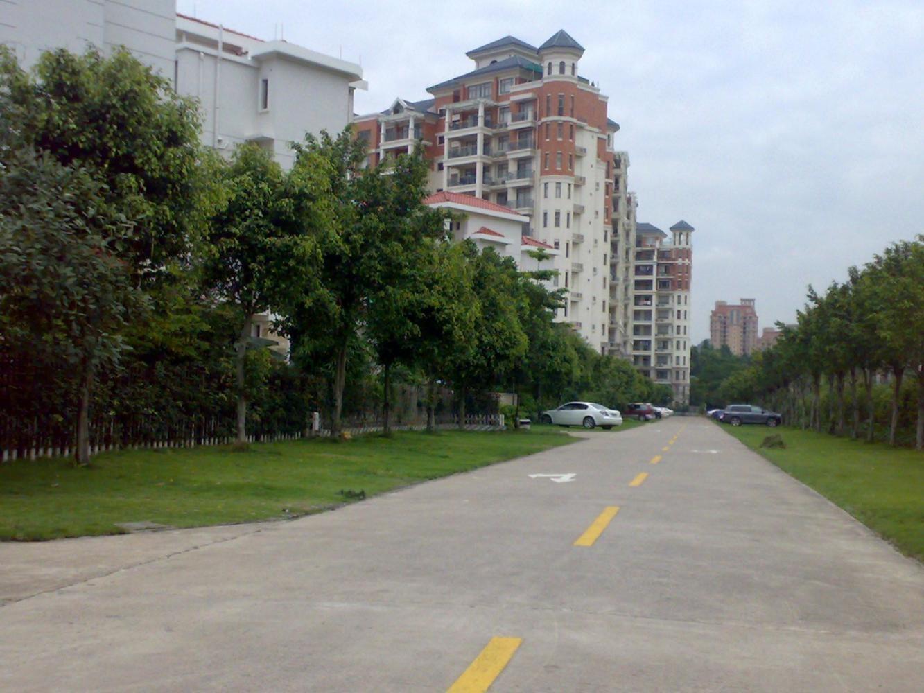 广州碧桂园凤凰城凤曦苑二手房房源图片