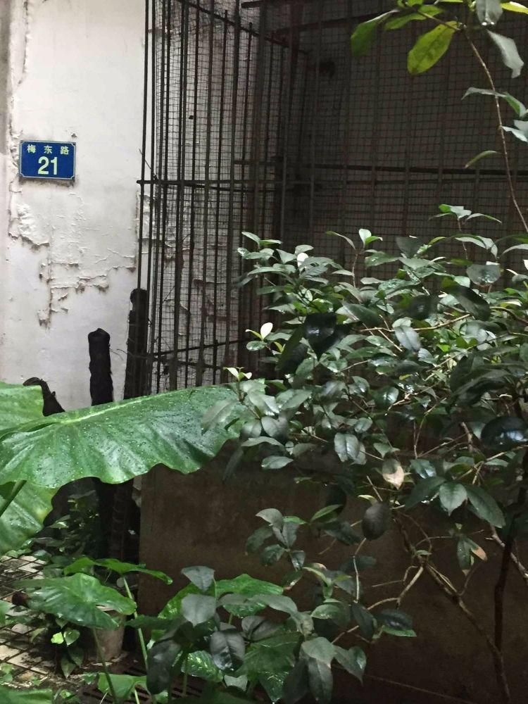 广州梅东小区二手房房源图片