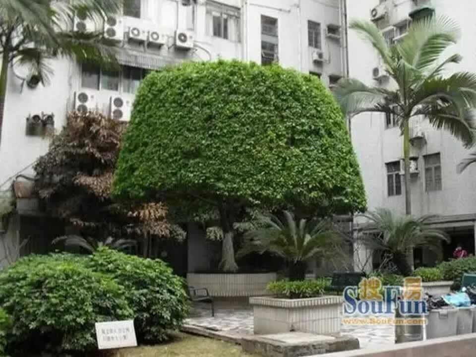 广州金田花苑二手房房源图片