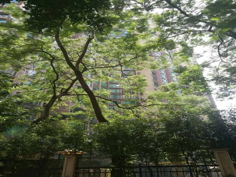 广州帝景苑二手房房源图片