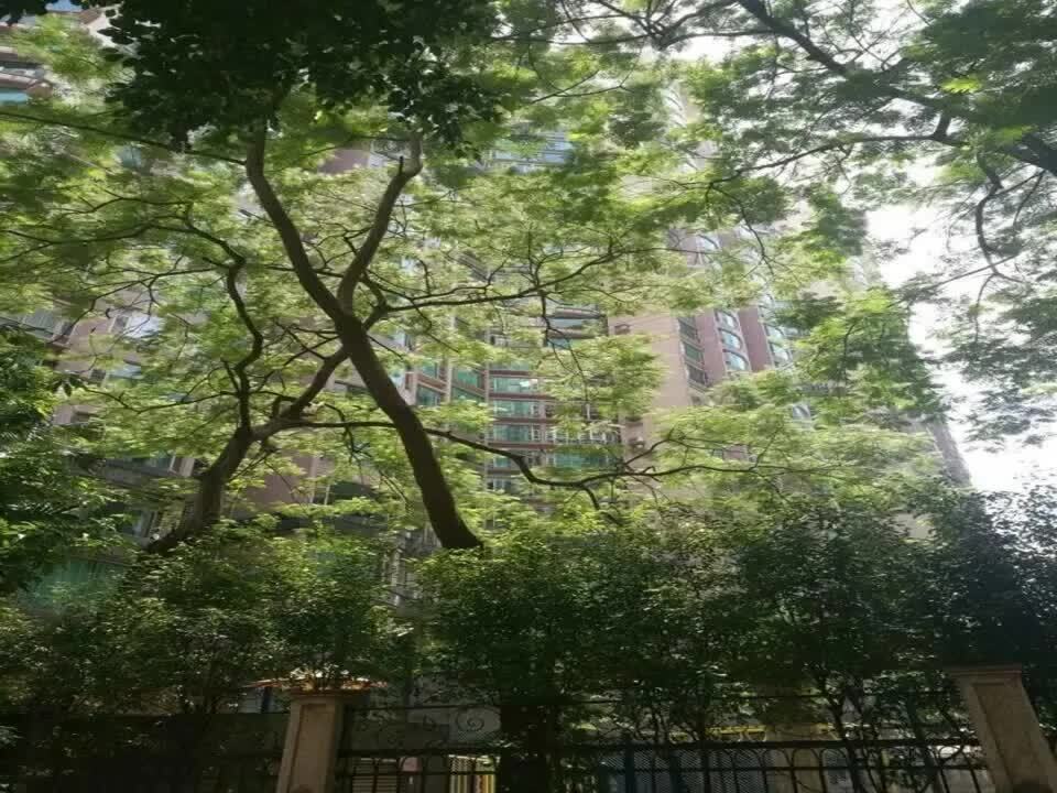 广州帝景苑二手房房源图片