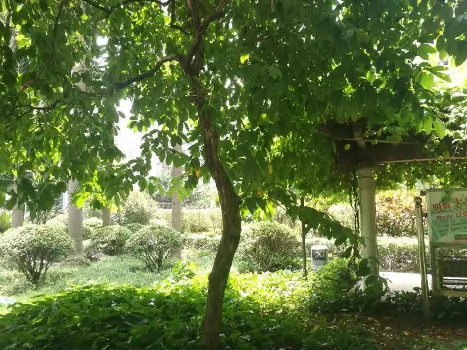 广州华标广场二手房房源图片