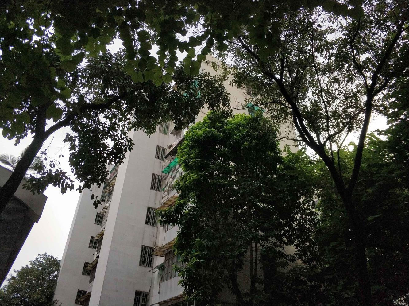 广州东园新村(越秀)二手房房源图片