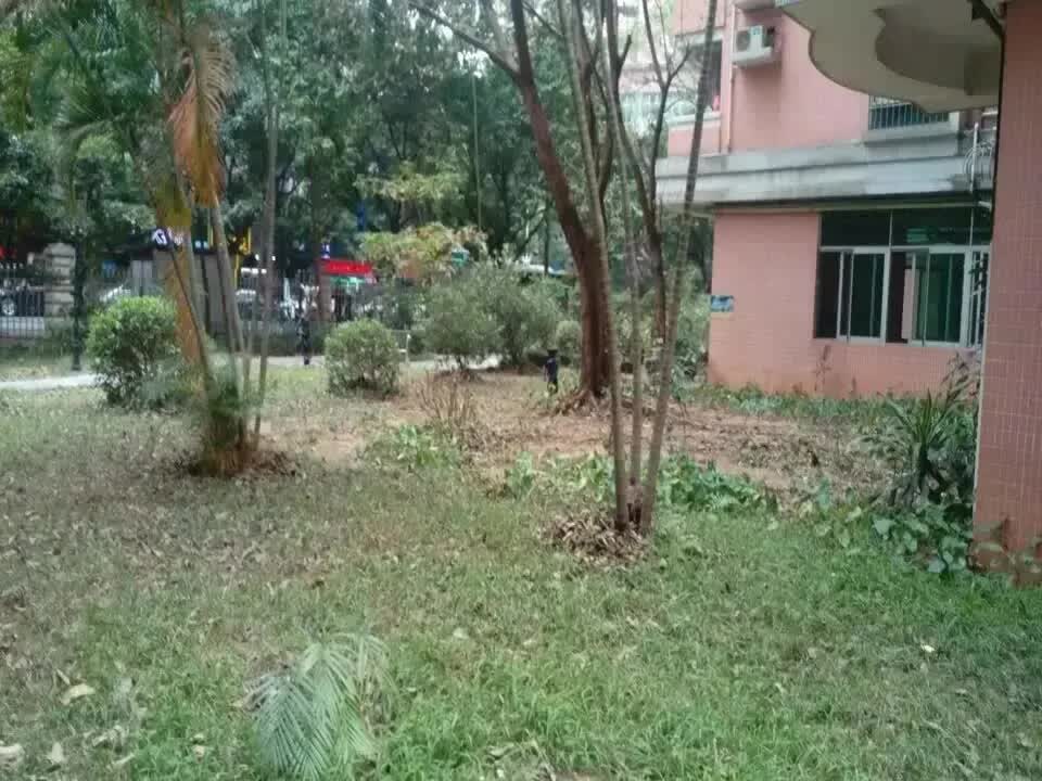 广州华标广场二手房房源图片