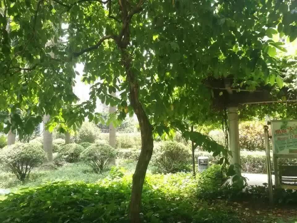 广州华标广场二手房房源图片