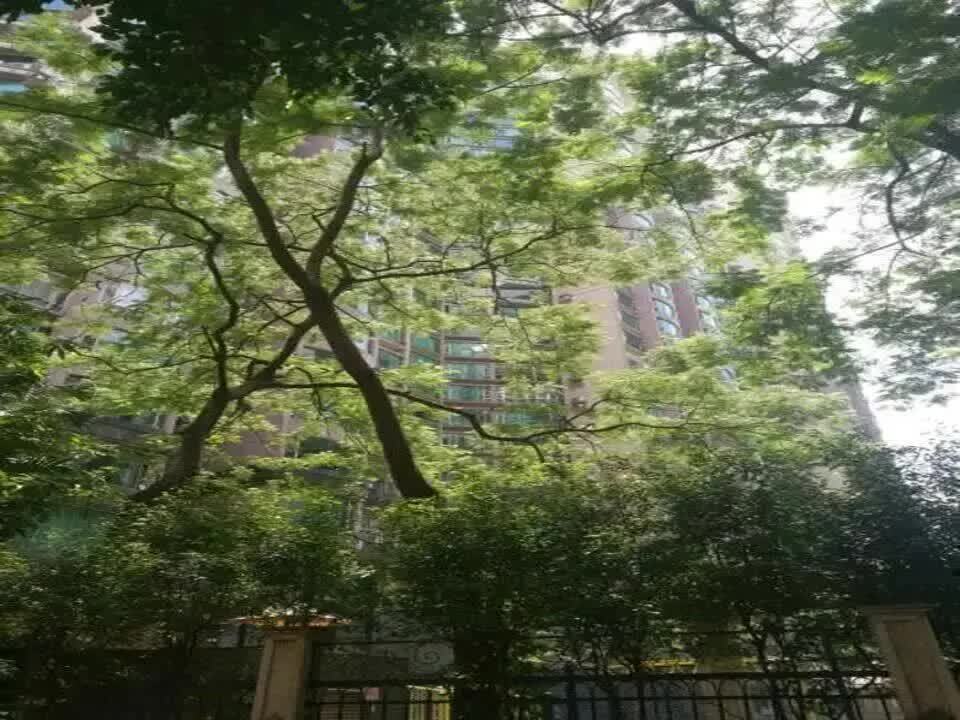 广州帝景苑二手房房源图片