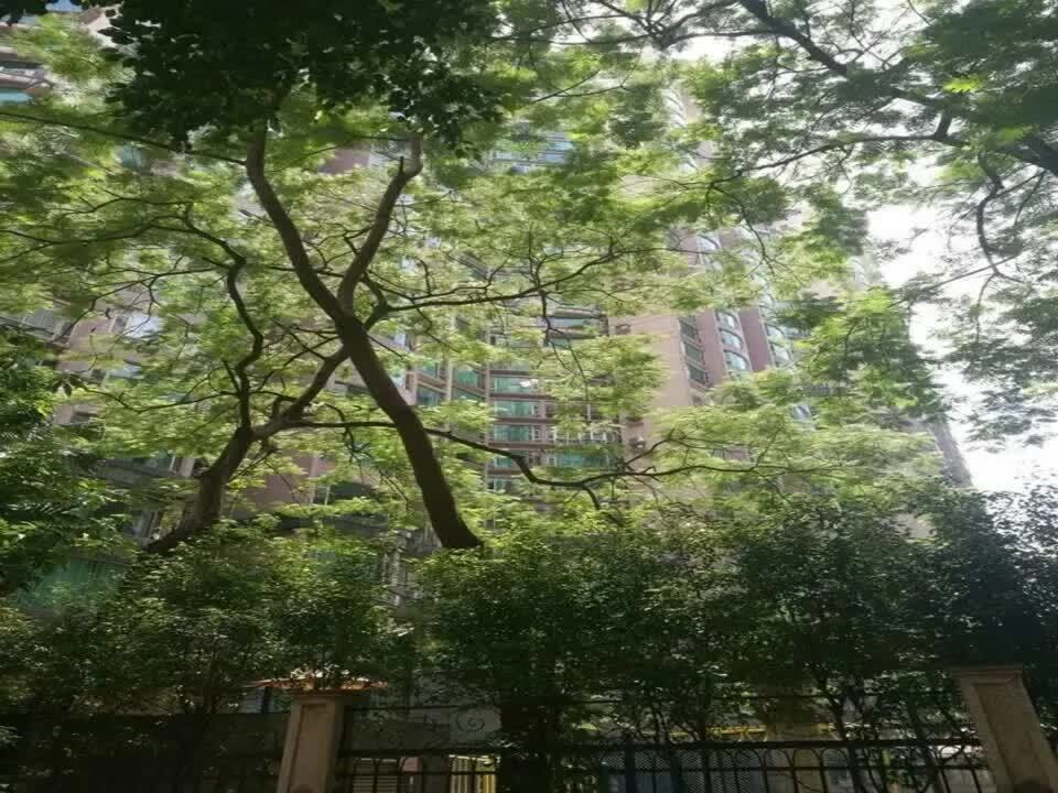 广州帝景苑二手房房源图片