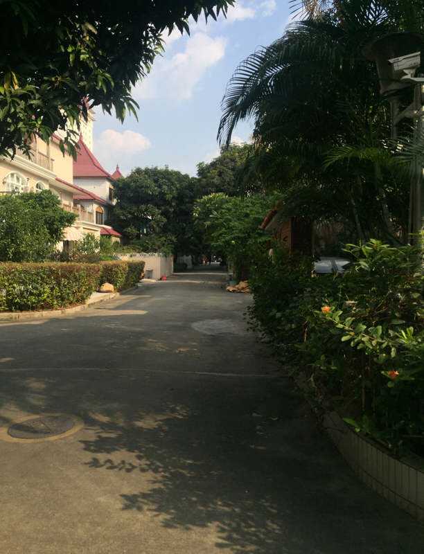 950万,新上房源,莱茵花园别墅毛坯房,经理推荐,真实有效_广州二手房