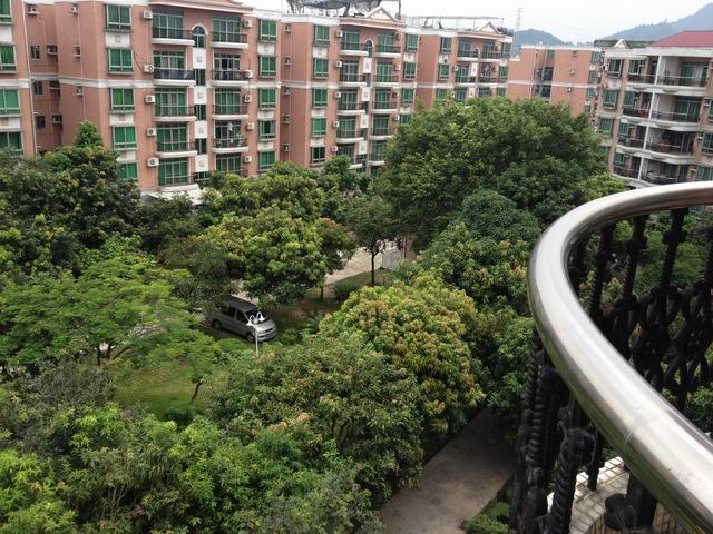 顺德碧桂园花园区2房南向低楼层 保养好 首付低