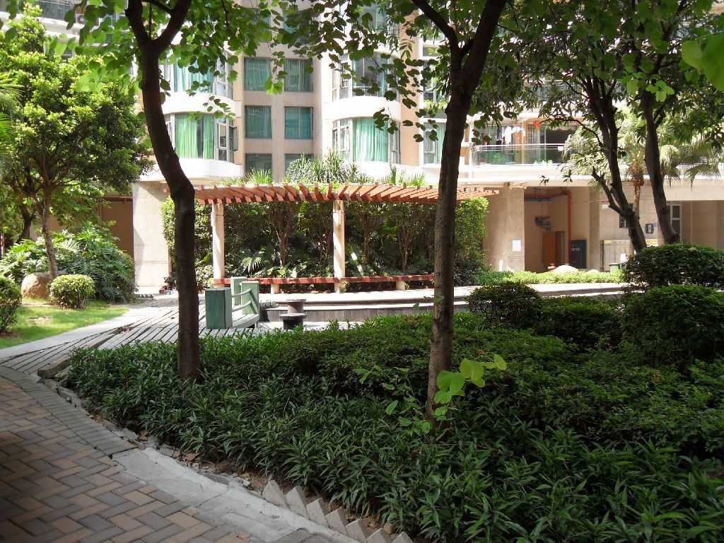 骏景花园二期南向复式 视野好 新装修 保养 送天台