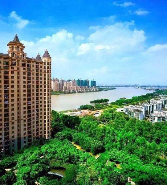 1500万,星河湾海怡半岛追求自然,生态的"大森林气质"_广州二手房-推推