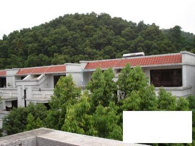 祈福新村b区别墅-整租
