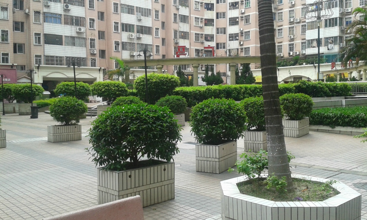 广州汇侨新城外景图